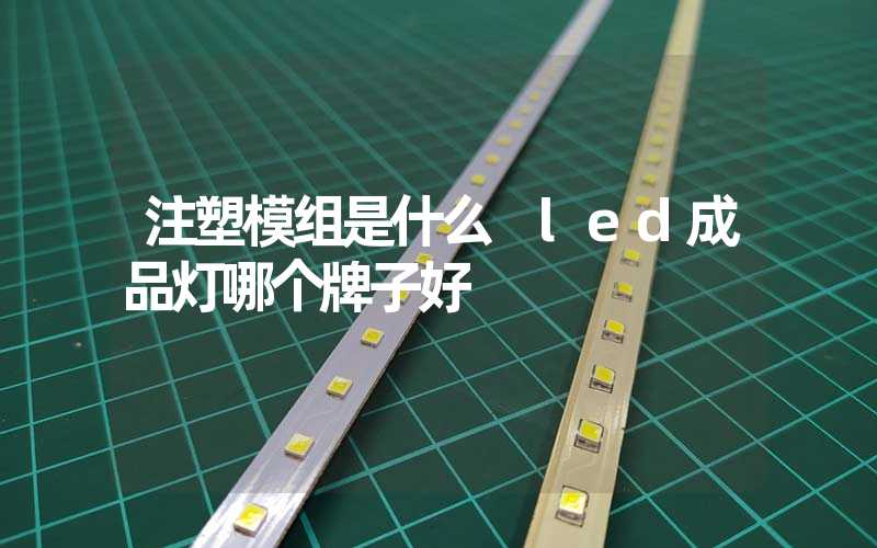 注塑模组是什么 led成品灯哪个牌子好